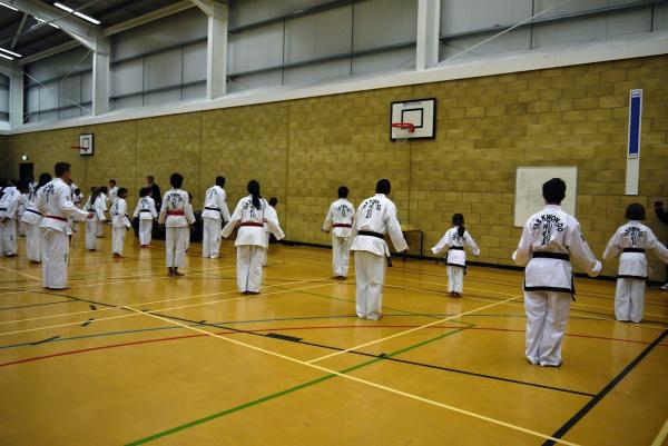 WLS Taekwondo Perivale