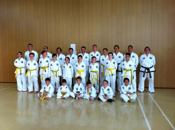 WLS Taekwondo Perivale