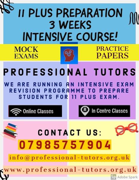 Professional Tutors