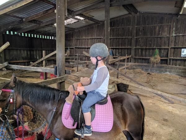 Barguse Riding Centre