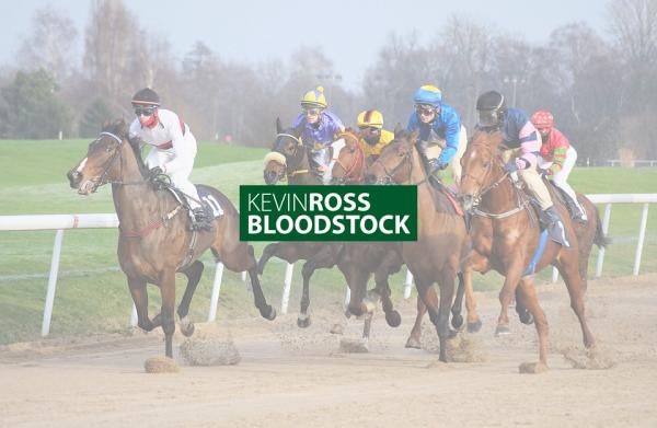 Kevin Ross Bloodstock