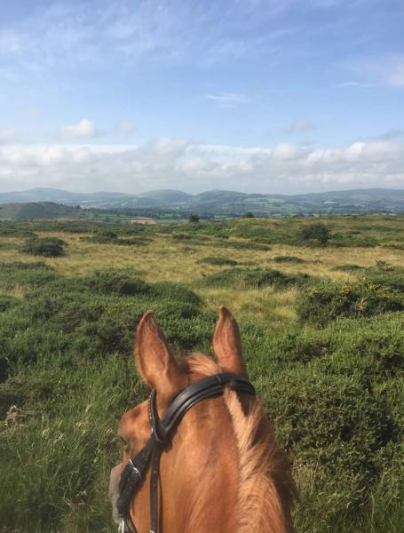 Linden Farm Riding & Trekking Centre