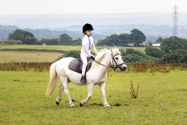 Cliffhollins Riding School