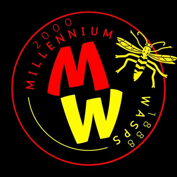 Millennium Wasps Swimming Club