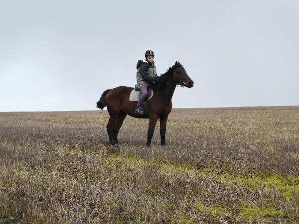 New Barn Farm Stables