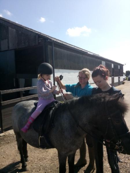 Hill Farm Stables Riding School & Livery