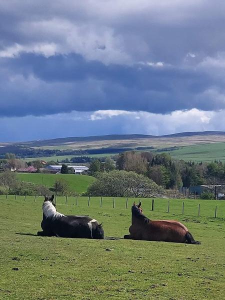 Happy Hooves Sanquhar C.i.c.