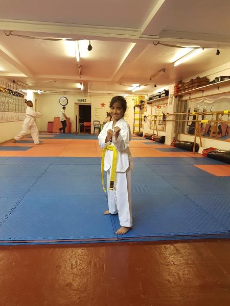 Bozdag Taekwondo Academy