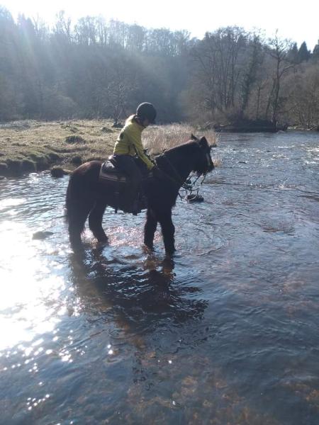 Clyde Valley Trekking Centre