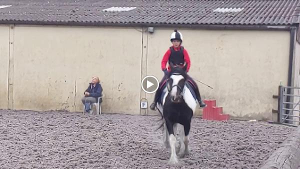 Howden Equestrian Centre Riding School