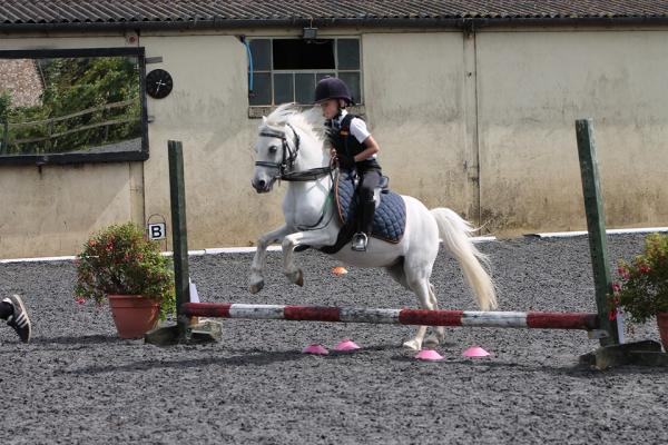 Howden Equestrian Centre Riding School