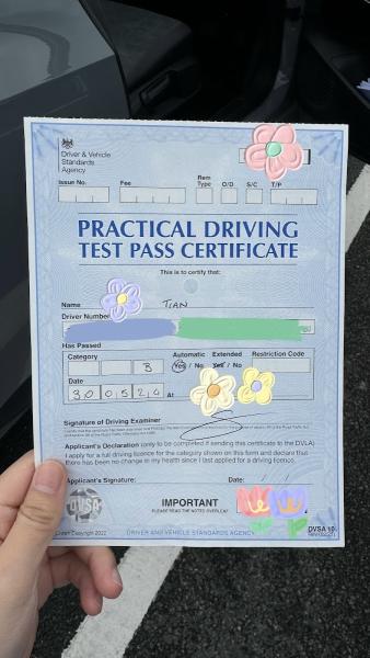 Bluedrive Driving School