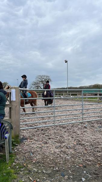 Top Merrill Riding School