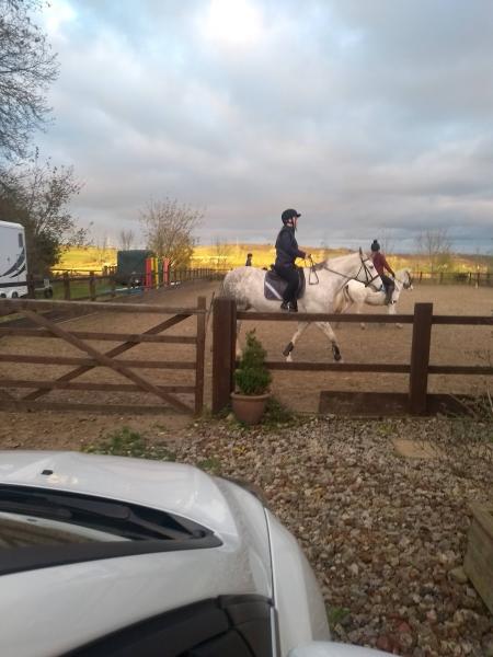 Sheffield Equestrian Centre