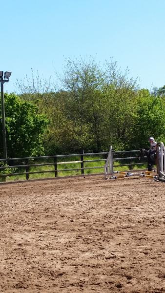 Moy Riding School