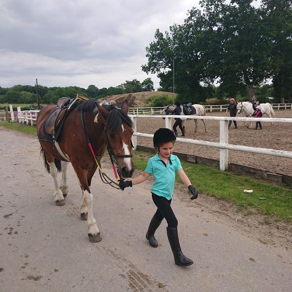 Shedfield Riding School