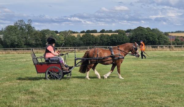 Ashfields Carriage & Polo Club