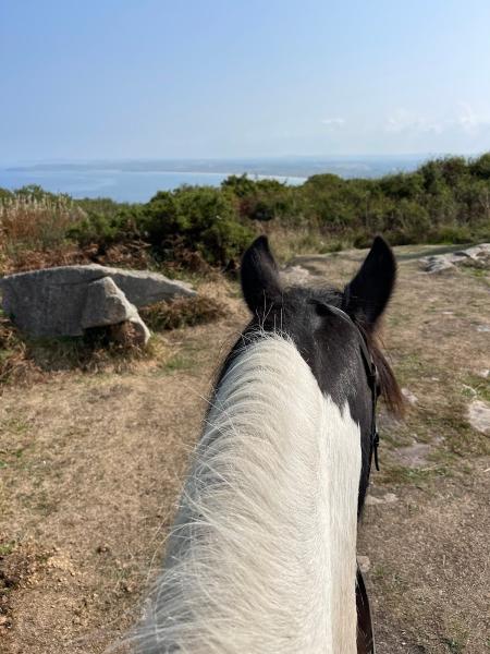 Penhalwyn Trekking Centre & School