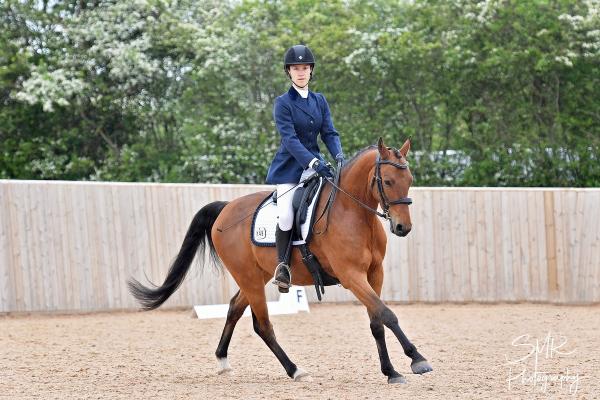 Empowered Equitation Training of Riders & Horses