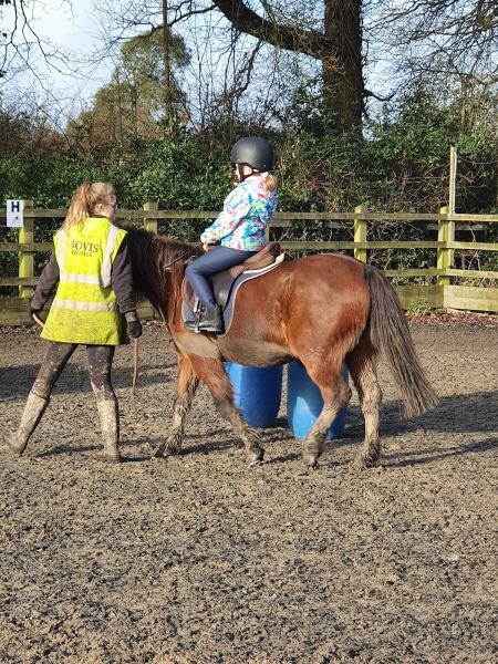 Wellgrove Farm Equestrian