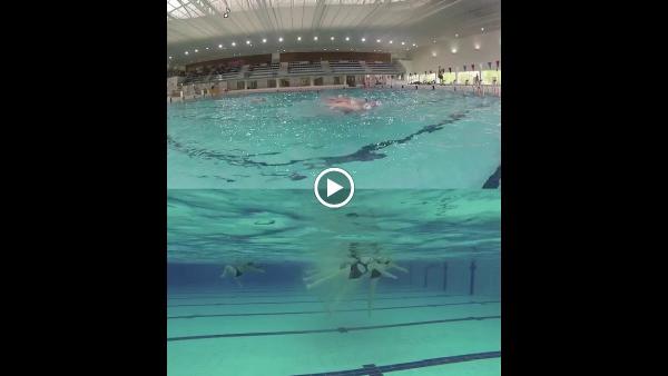 Swan Swim Analysis Company