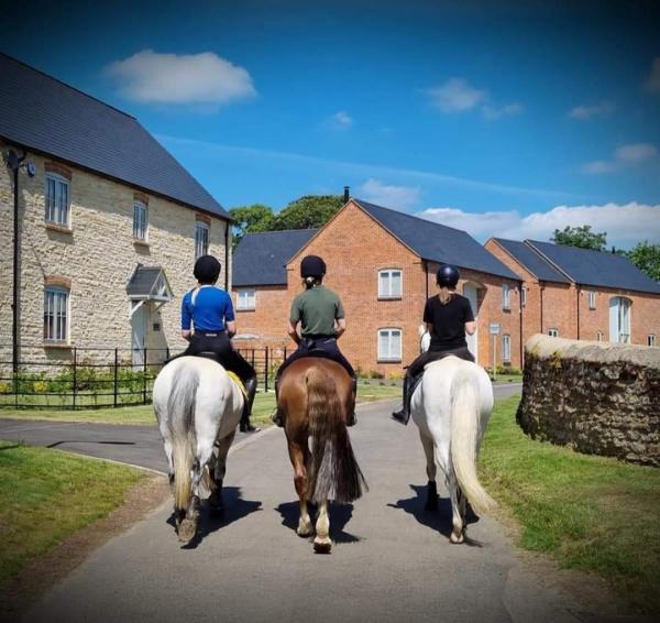 Manor Farm Livery