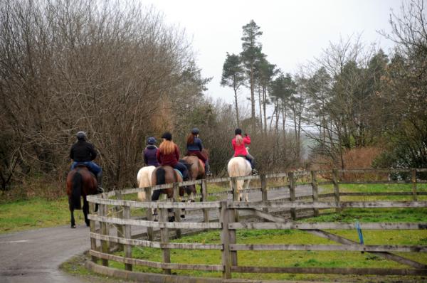 Ballylagan Trail Rides