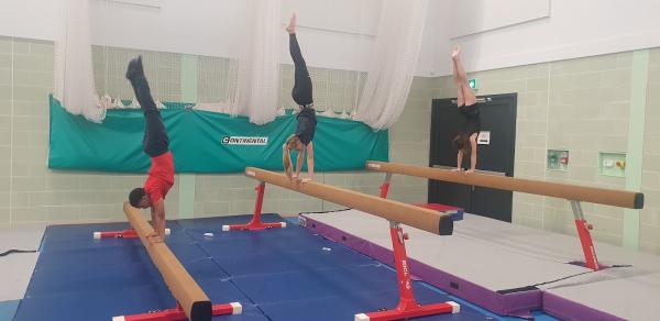 Elstree School of Gymnastics Ltd