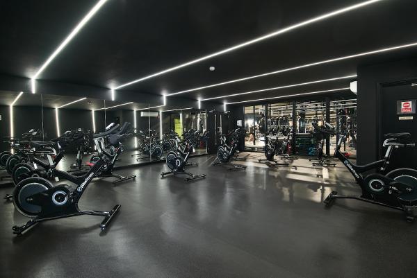 Premier Gym + Fitness