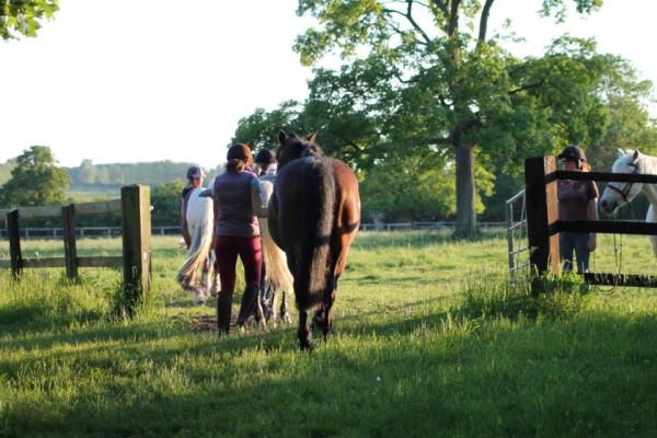 Barrow Hall Stables