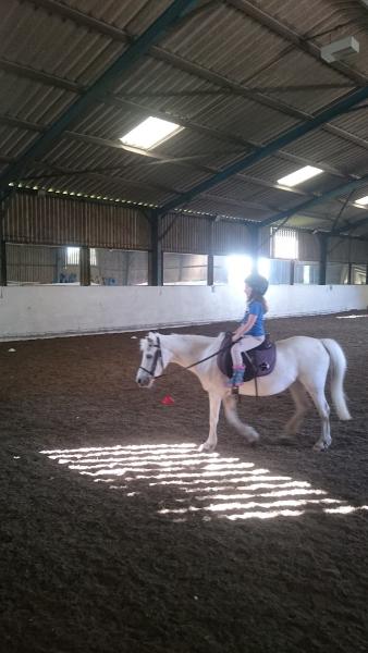 Barrow Hall Stables