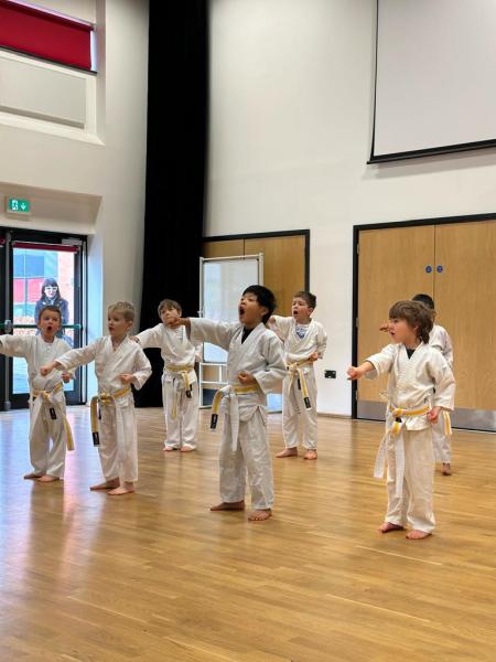 Invicta Karate Academy Sevenoaks