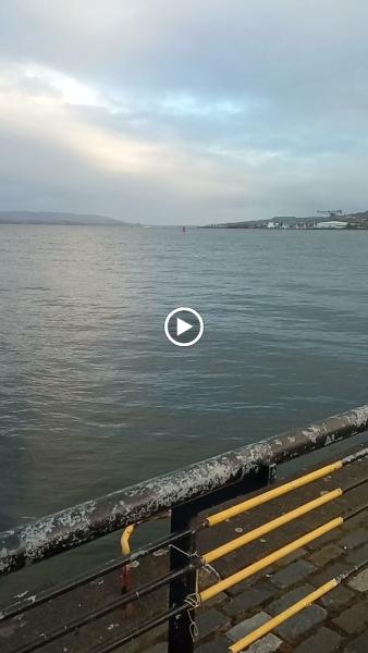 Waterfront Fitness Gym