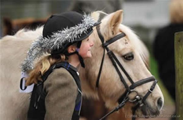 Heazle Riding Centre