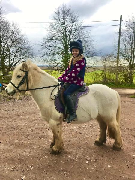 Luccombe Riding Centre