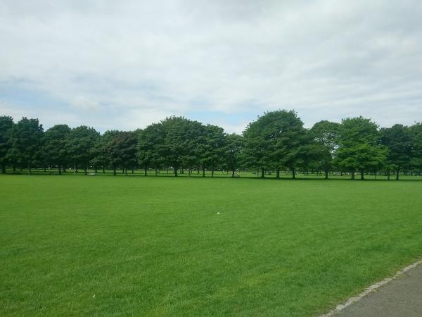 Meadows City Tennis Club