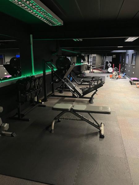 The Lemon Frog Fitness Company