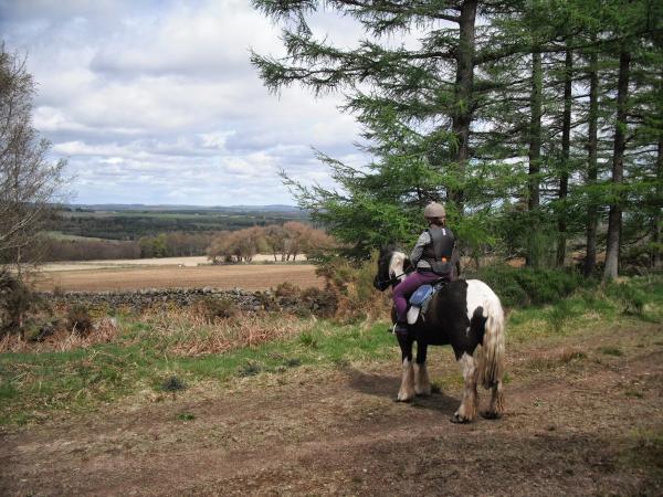 Marchburn Stables