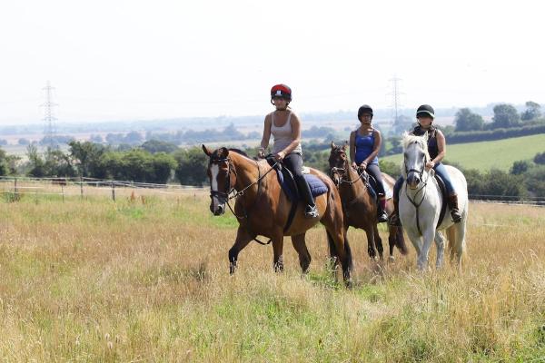 Grove Farm Riding School