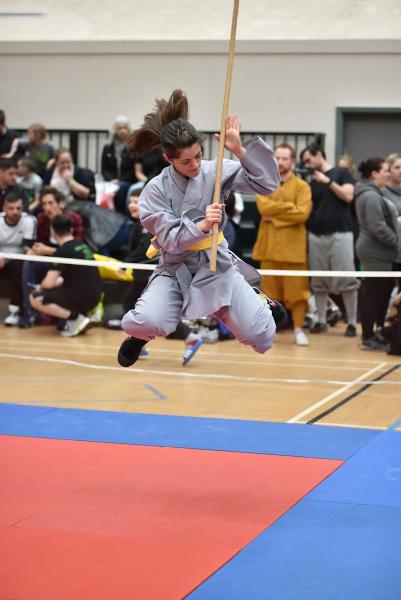 Shaolin Kung Fu Martial Arts and Cultural Centre