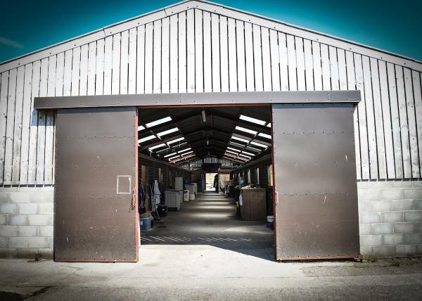 Acton Hall Equestrian Centre