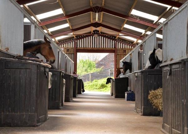 Acton Hall Equestrian Centre