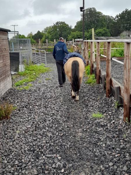 Wapley Riding Stables