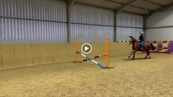 Rein & Shine Equestrian Centre