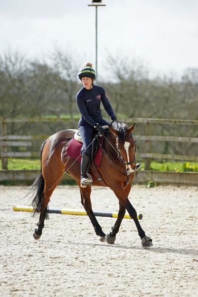 Rein & Shine Equestrian Centre