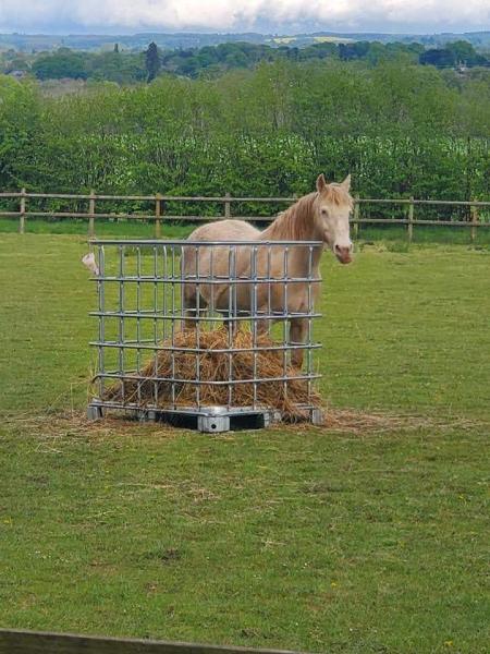 The Wyke Equestrian Cente