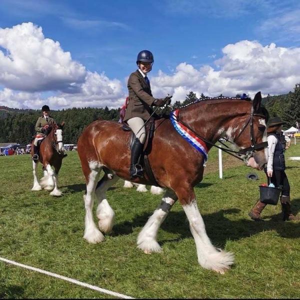 Strathorn Farm Stables