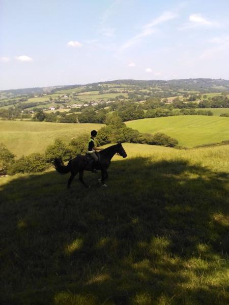 Sandford Stables (Formerly Woodhouse Farm Riding Stables)