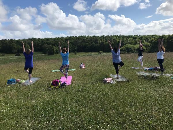 Blue Skies Yoga North East