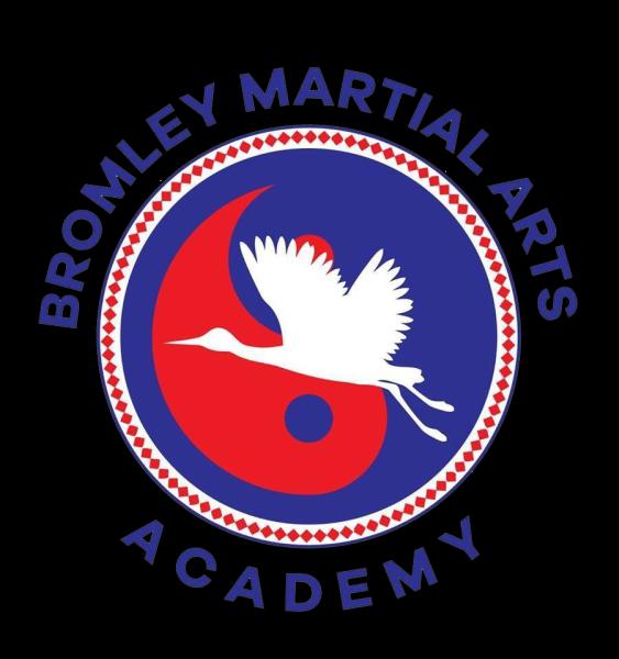 Bromley Martial Arts Academy (Black Belt School)